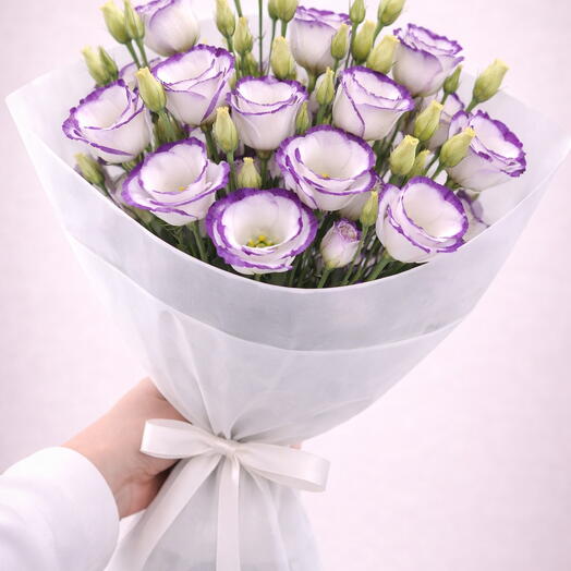 Mono Eustoma lila weib - 9