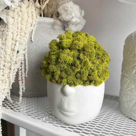 Preserved Moss Vase Delight