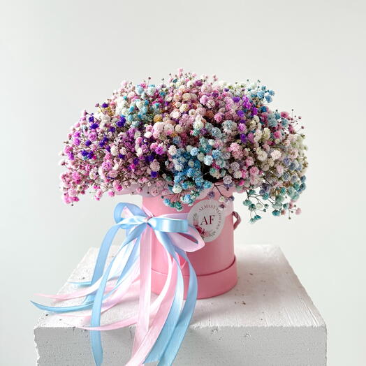 Colorful pastel gypsophila in a box