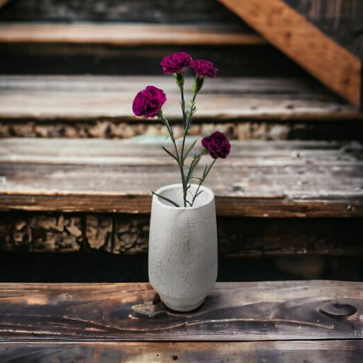 Spray Carnations (Mixed colours), price per piece