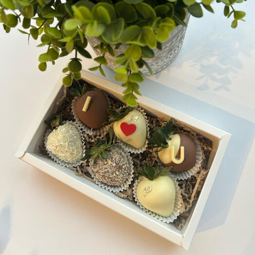 Delightful Half-Dozen