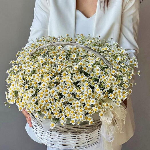 Корзина Ромашковая