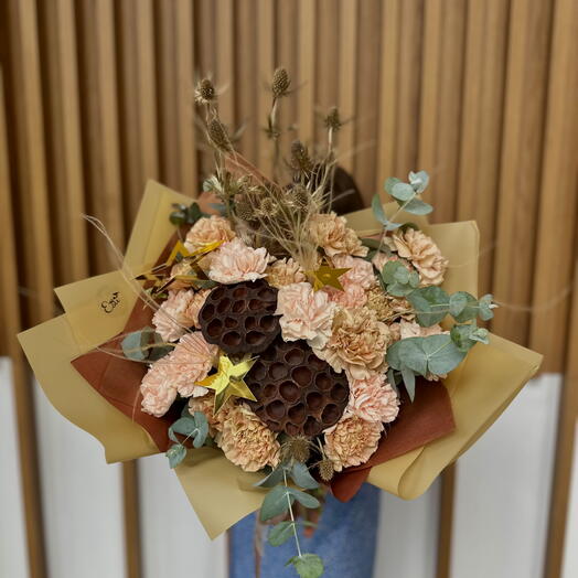 Stars of the Negev desert