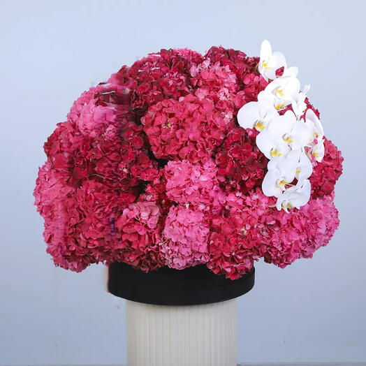 Blush     Crimson  Bliss