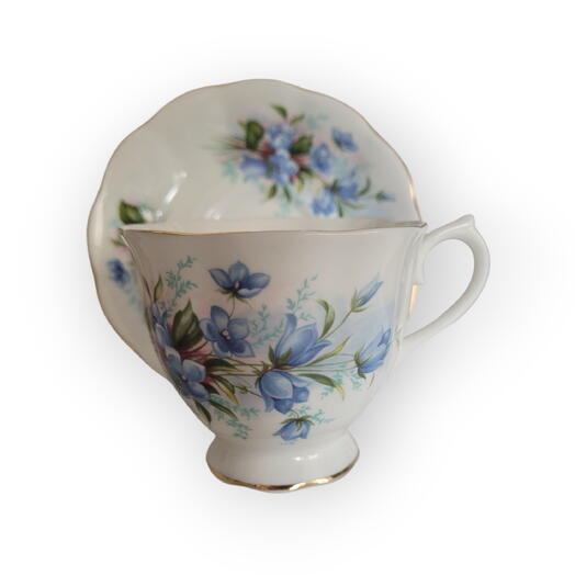 Vintage Collectible Cup and Soucer by Royal Alber with blue flowers t