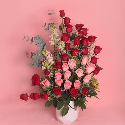 Aurora Arrangement