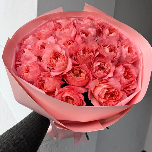 Pfingstrosenartige Rosen 21