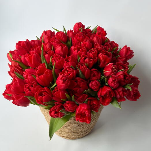 100 tulips in a basket (classic / peony-style)