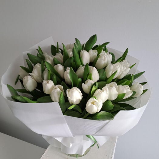 Smile 35 white tulips