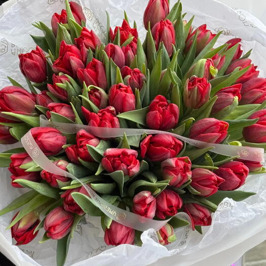 Қызыл қос гүлді тюльпандар, L