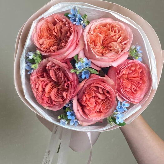 Sorriso Corallo Giardino