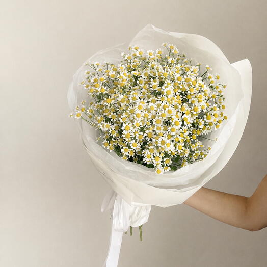 Chamomile bouquet