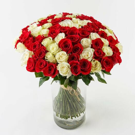 101 red and white roses