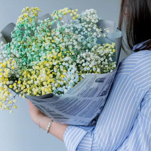 Bouquet de gypsophile colorée
