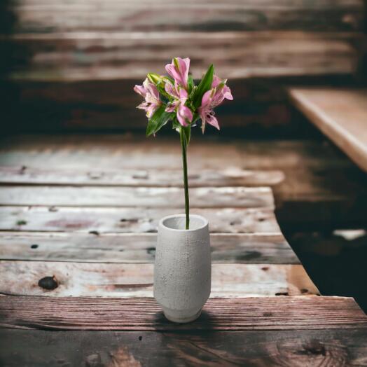 Alstroemeria, Mixed colours, price per stem