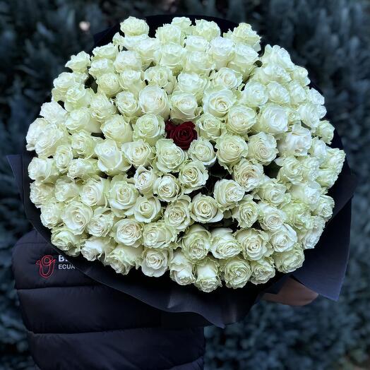 101 White Roses Accented