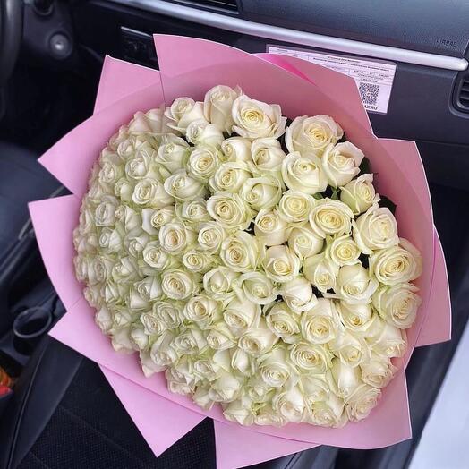 75 white roses