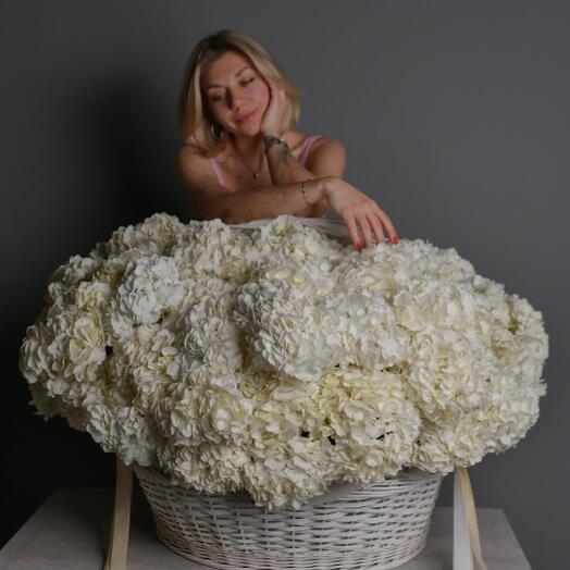 WOW-SIZE КОРЗИНА БЕЛЫХ ГОРТЕНЗИЙ
