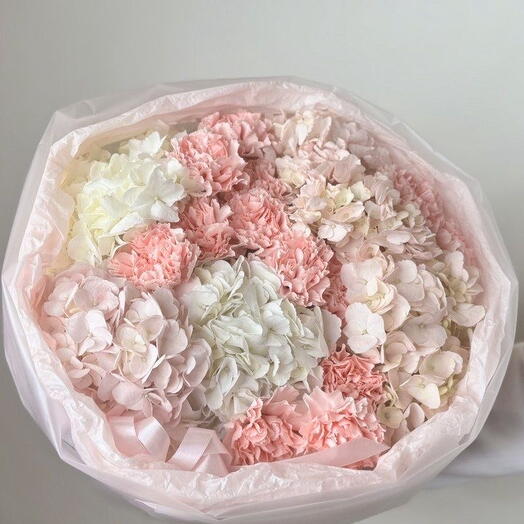 Hortensie mit Nelken S