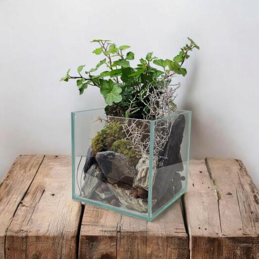 "The Room of Forest"