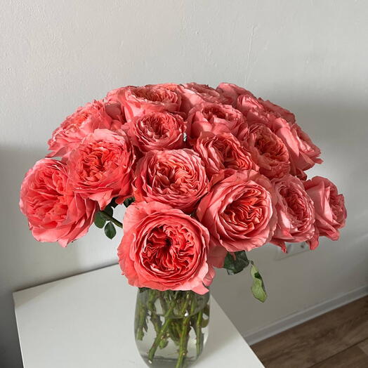 Pfingstrosenartige Rosen 25 st