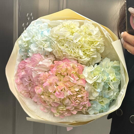 Bouquet of 5 Hydrangeas