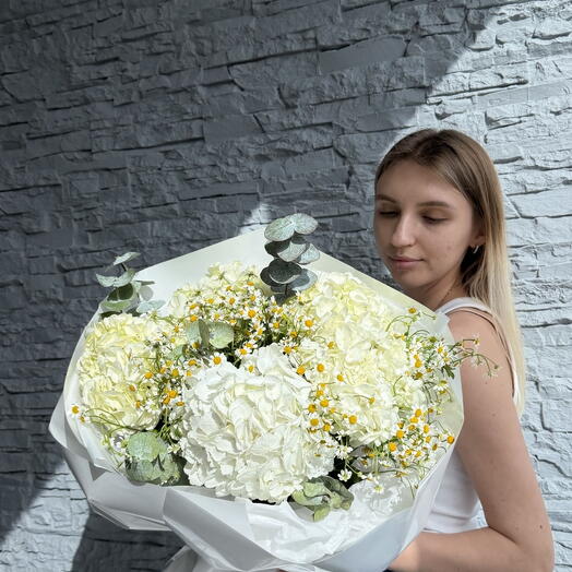 Чистая лужайка