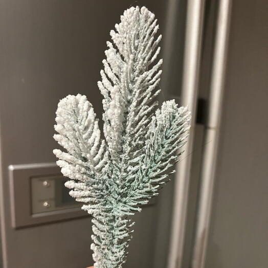 Snow-covered branch troika