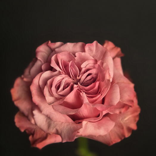 Country Blues раушаны