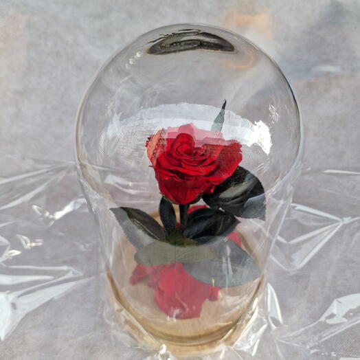 Special eternal  rose
