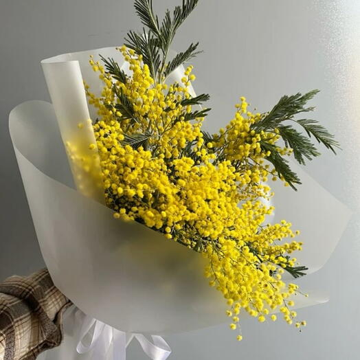 Букет ароматной мимозы