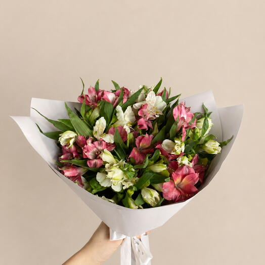 Mom s Favorite: Alstroemerias