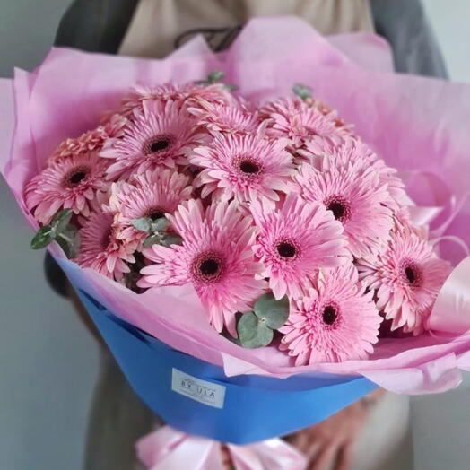 Gerbera pink