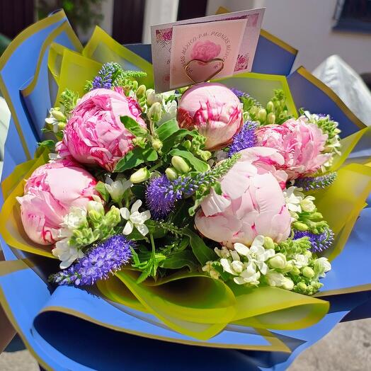 Media decena saraha Bernhardt