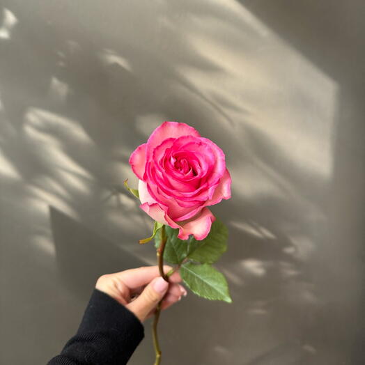 Сладкий уникальный розовый