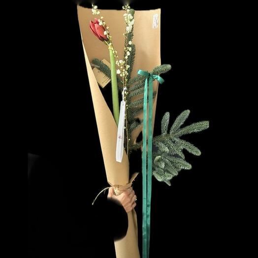 Christmas Flowers For Your Vase with Amaryllis