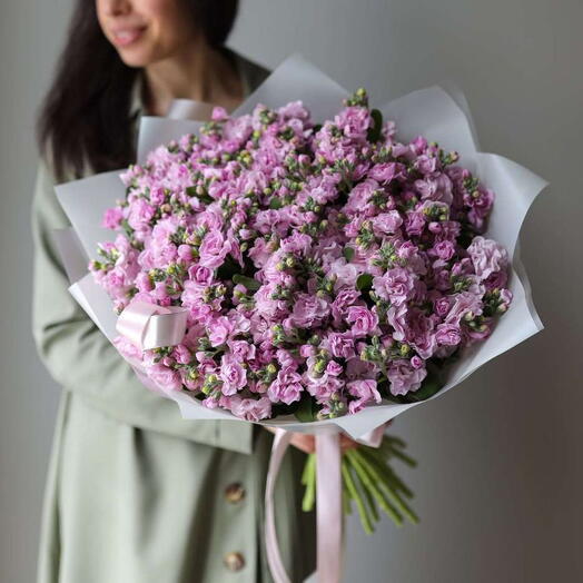 Охапка ароматной розовой маттиолы «Regina»