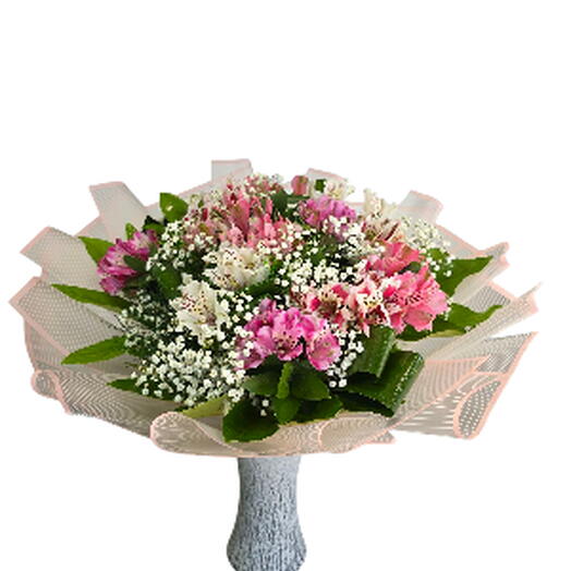 זר אלסטרמריות