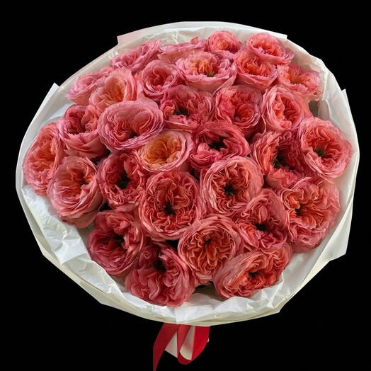 Корал экспрессиясы