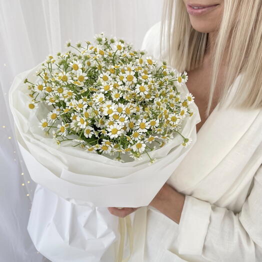 Облако из полевых ромашек