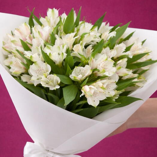 Alstromeria weis - 25