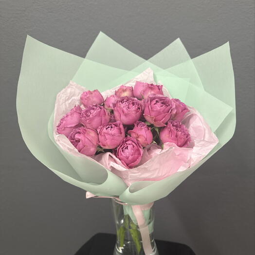 Rosa peonies Misty Bubbles