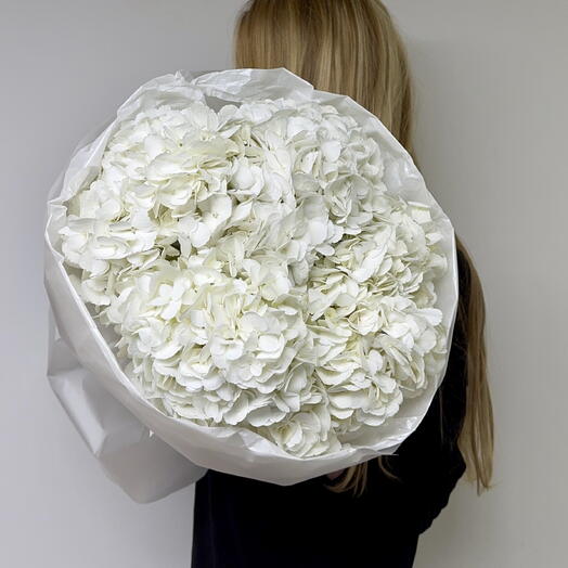 White hydrangeas, 5 stems