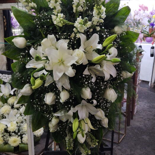 Tripie descansa en paz