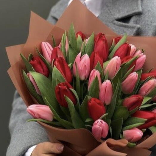 Pink Red Tulips 50