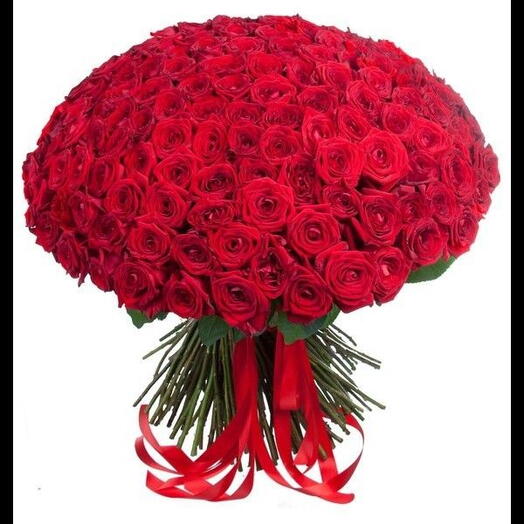 200 red rose