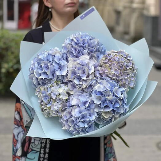Hydrangea Beauty!  Win Her heart at first sight :)