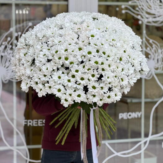 Букет из 45 веток белой хризантемы