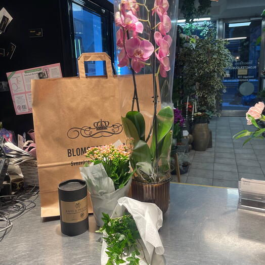 En stor present påse