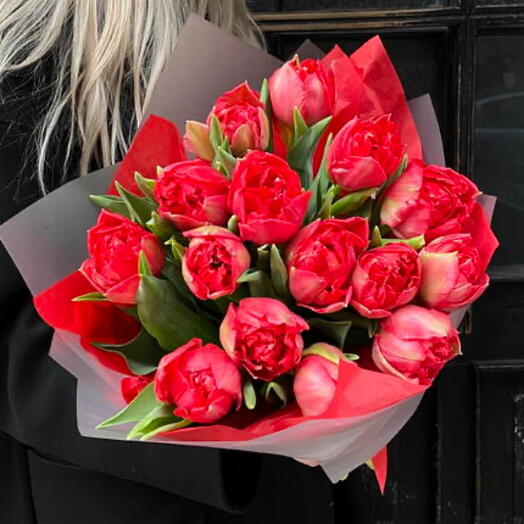 Tulips Red 15
